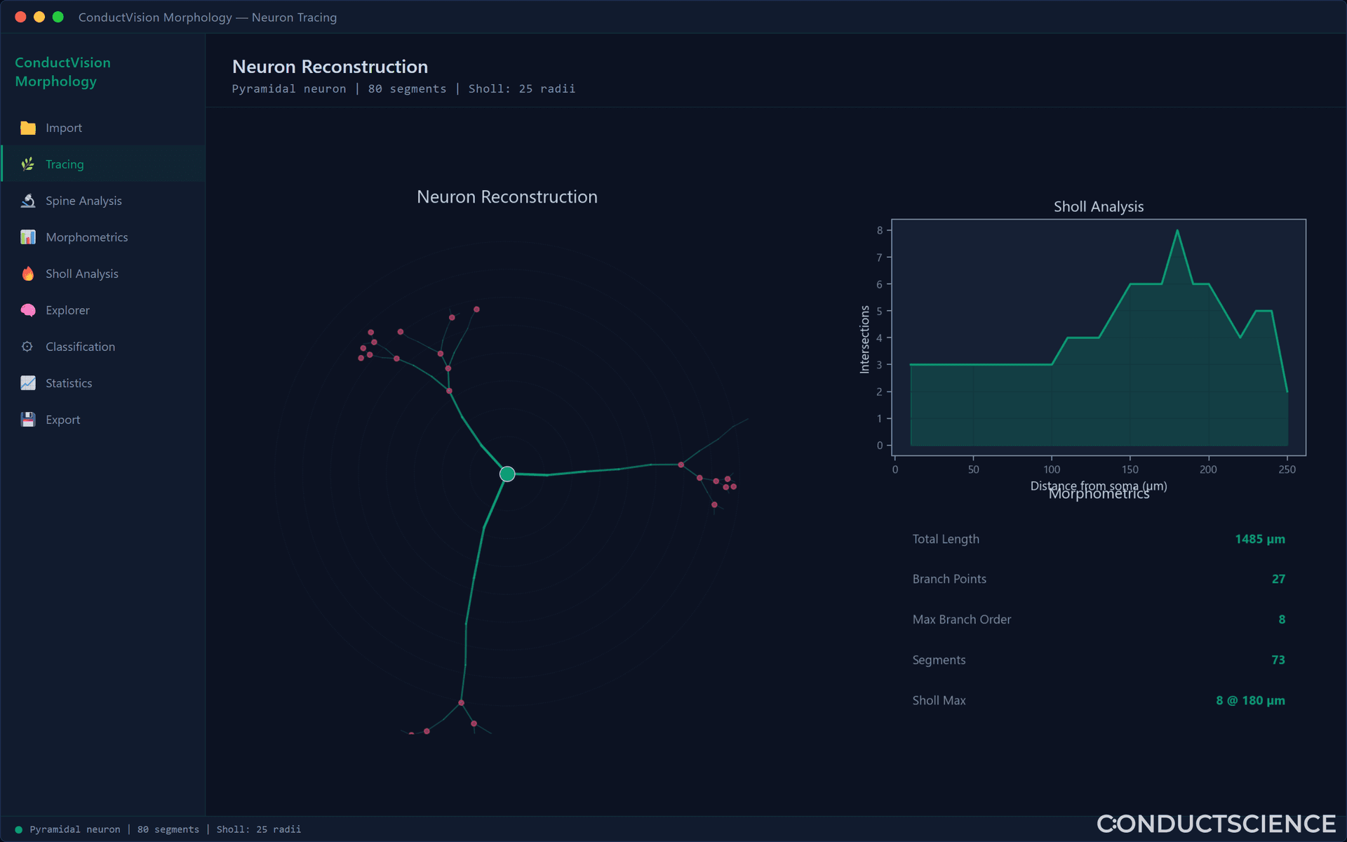 Neuron Tracing