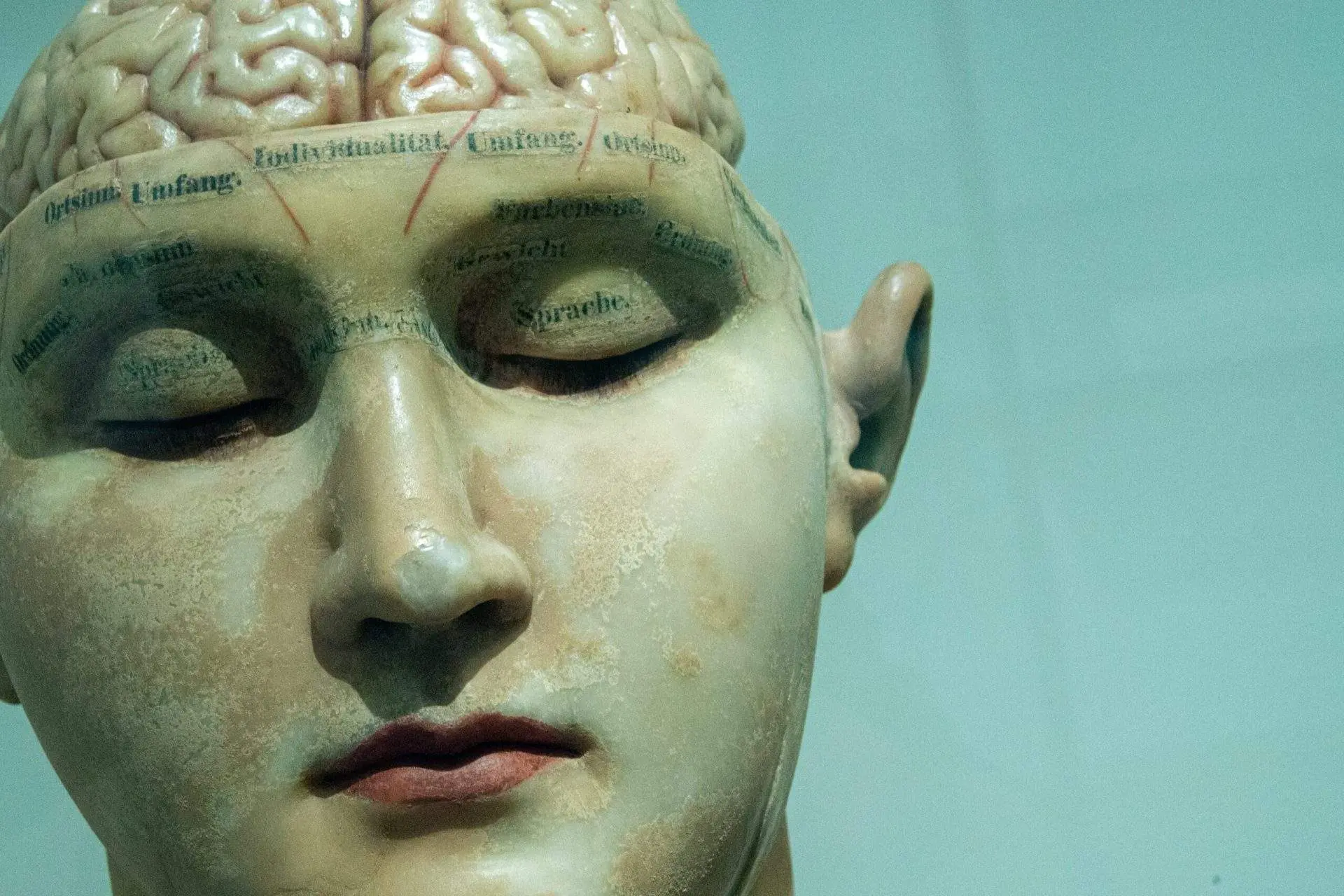New Live Imaging Technique Said to Revolutionize the Study of Brain Function