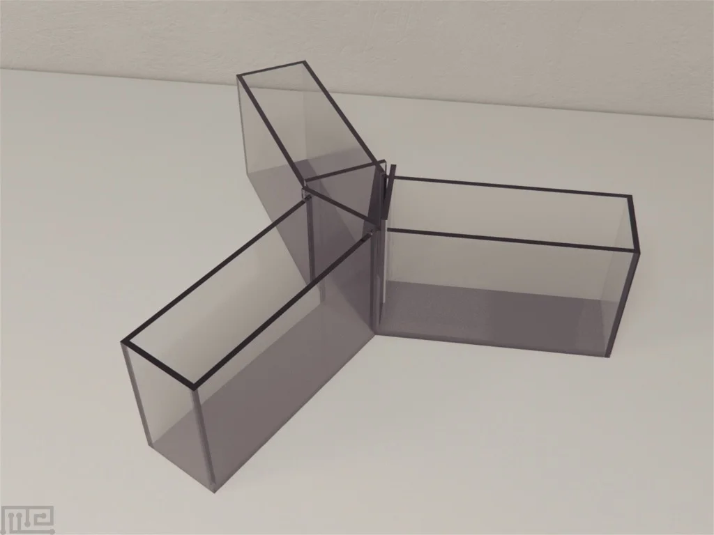 Zebrafish Y-Maze