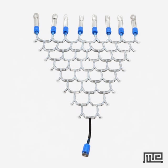 Drosophila Gravitaxis Maze
