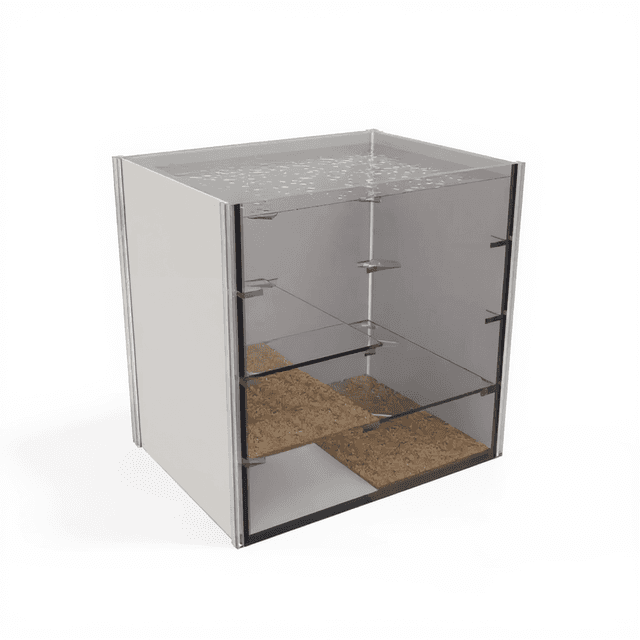 Zebrafish Black White Preference