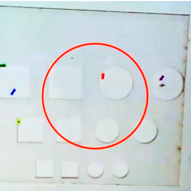 ConductVision tracking six fruit flies in an open arena, each fly marked in its own color