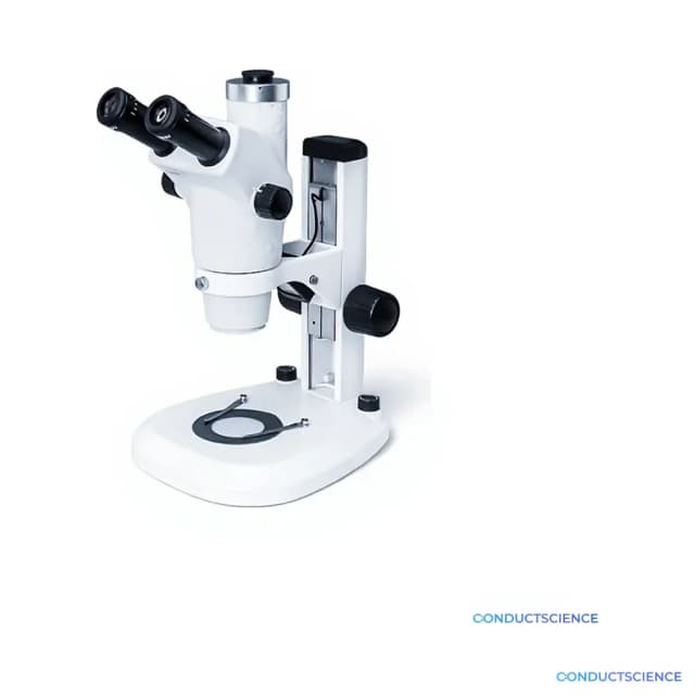 Zoom Stereo Microscope