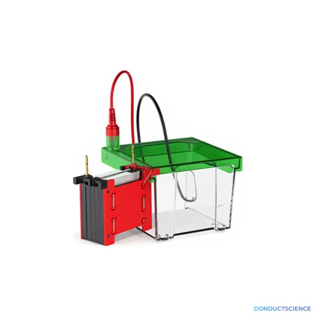 Western Blot Electrophoresis Tank