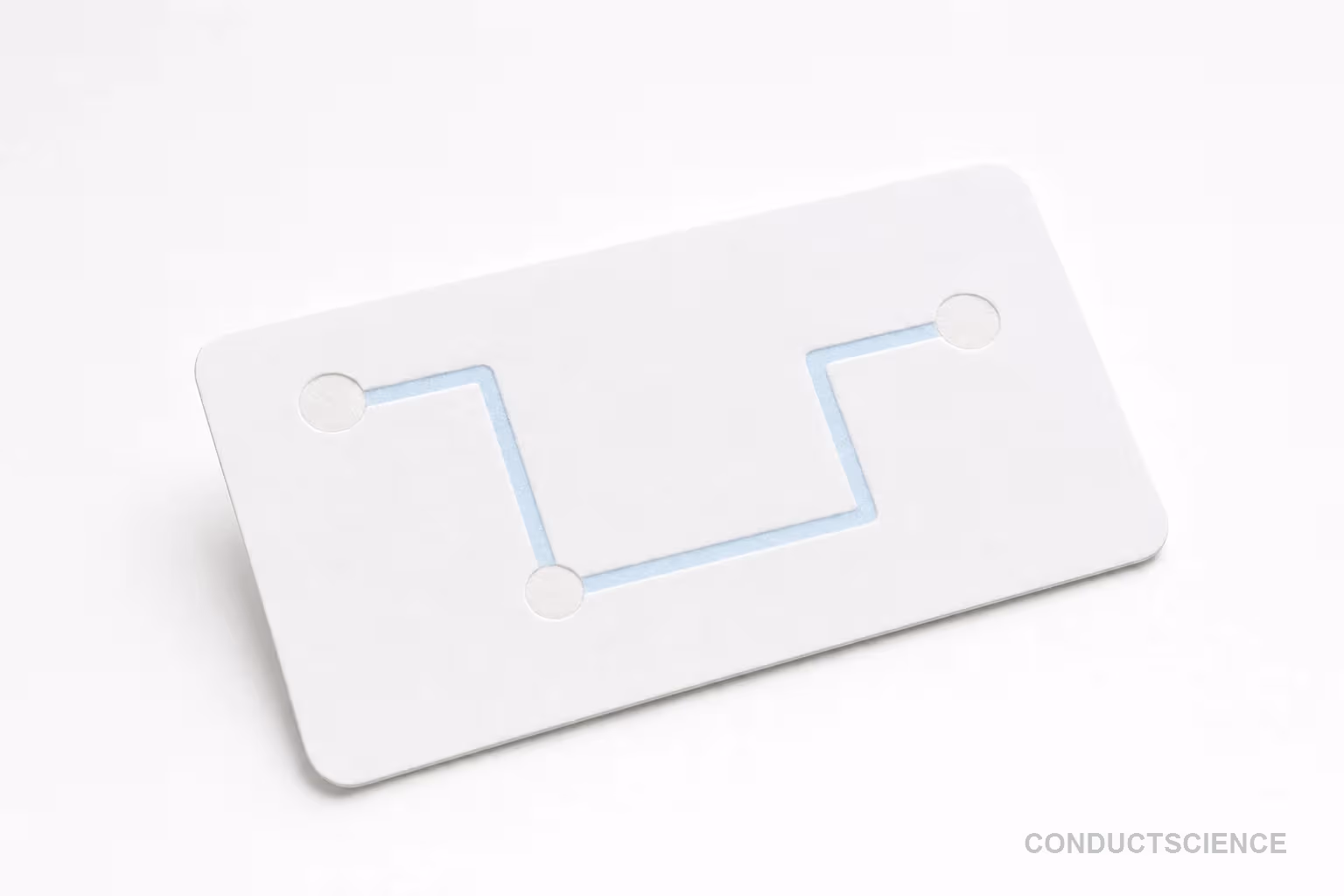 Custom Paper Microfluidic Chip