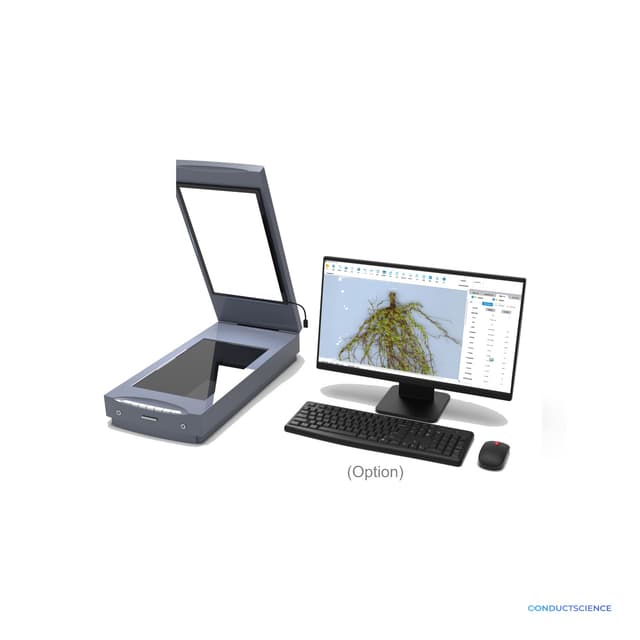 Plant Root Phenotype Analysis System