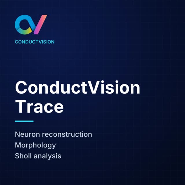 ConductVision Trace: Neuron reconstruction, Morphology, Sholl analysis