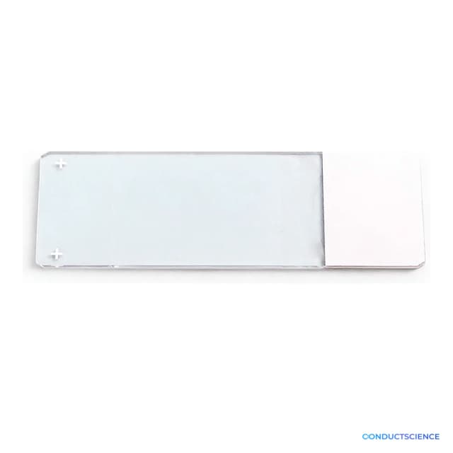 Adhesion microscope slide with a white painted label area
