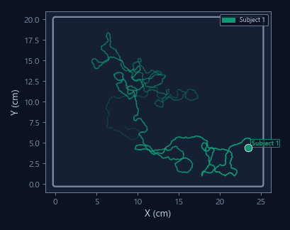 Real-time trajectory visualization