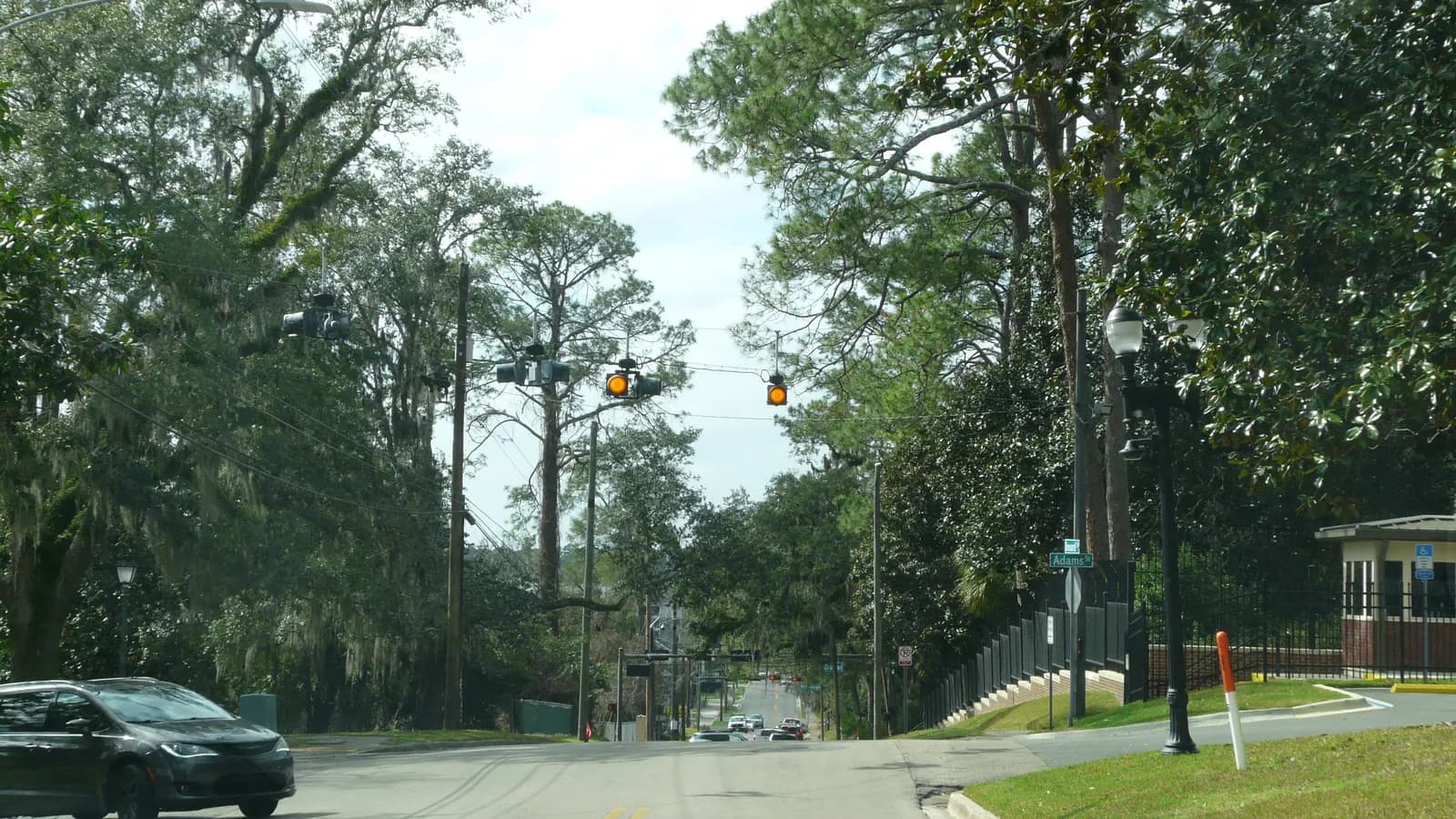 Traffic signals hang over an intersection lined with tall trees; boxes mark 4 traffic lights and 6 cars.