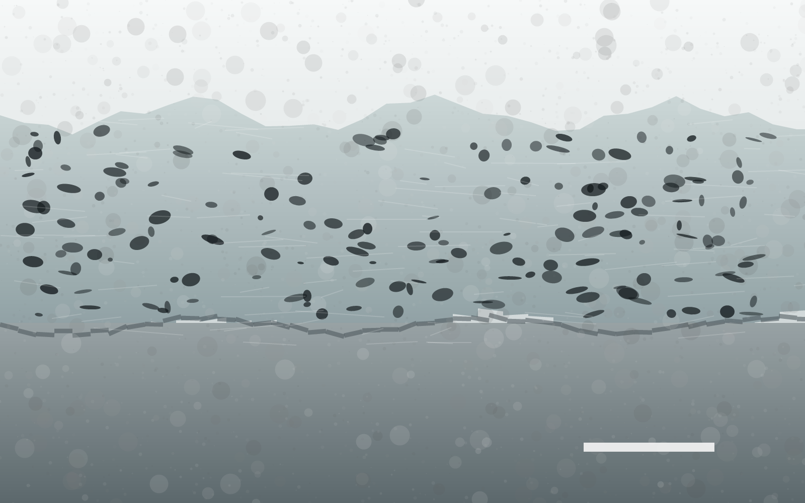 Coating Thickness & Porosity — ConductVision Image analysis