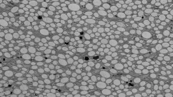 Composite cross-section with fiber bundles for orientation analysis