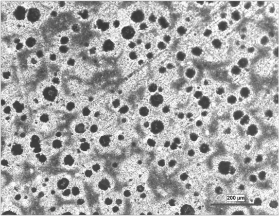 Optical micrograph of etched ductile iron: round graphite nodules in a pearlite/ferrite matrix
