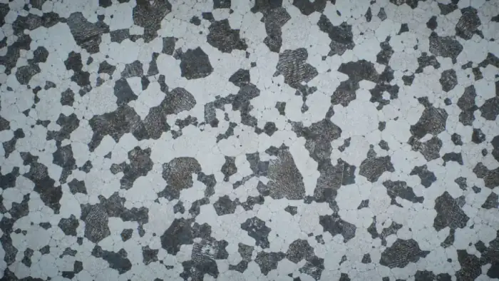 Dual-phase alloy microstructure for phase fraction analysis