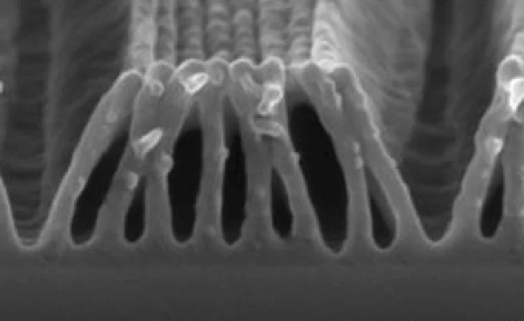 Cross-section SEM of dense resist lines leaning and merging at tight pitch, showing pattern collapse