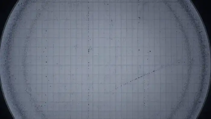Wafer inspection field with die grid and defect pattern clusters