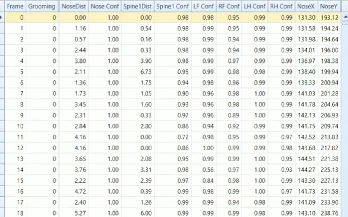 Open Export & Imports