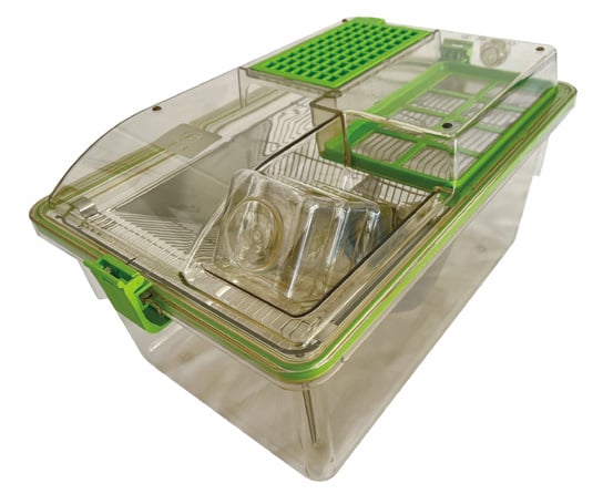 Guinea-pig IVC cage with ConductScience fallback image