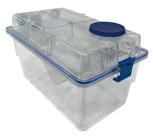 Rat IVC cage with ConductScience fallback image