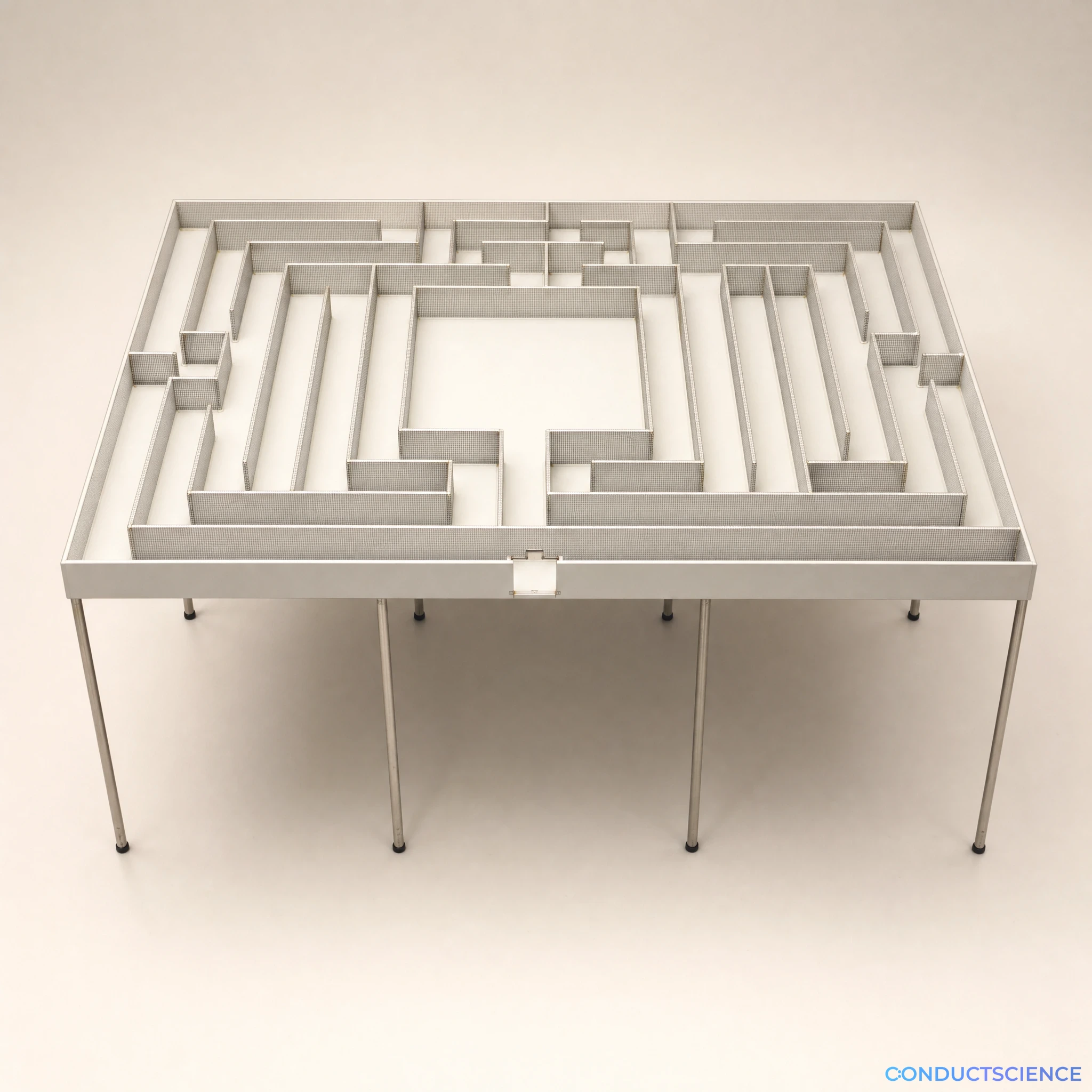 Photorealistic full-scale Hampton Court rat maze with a central goal and seven blind alleys