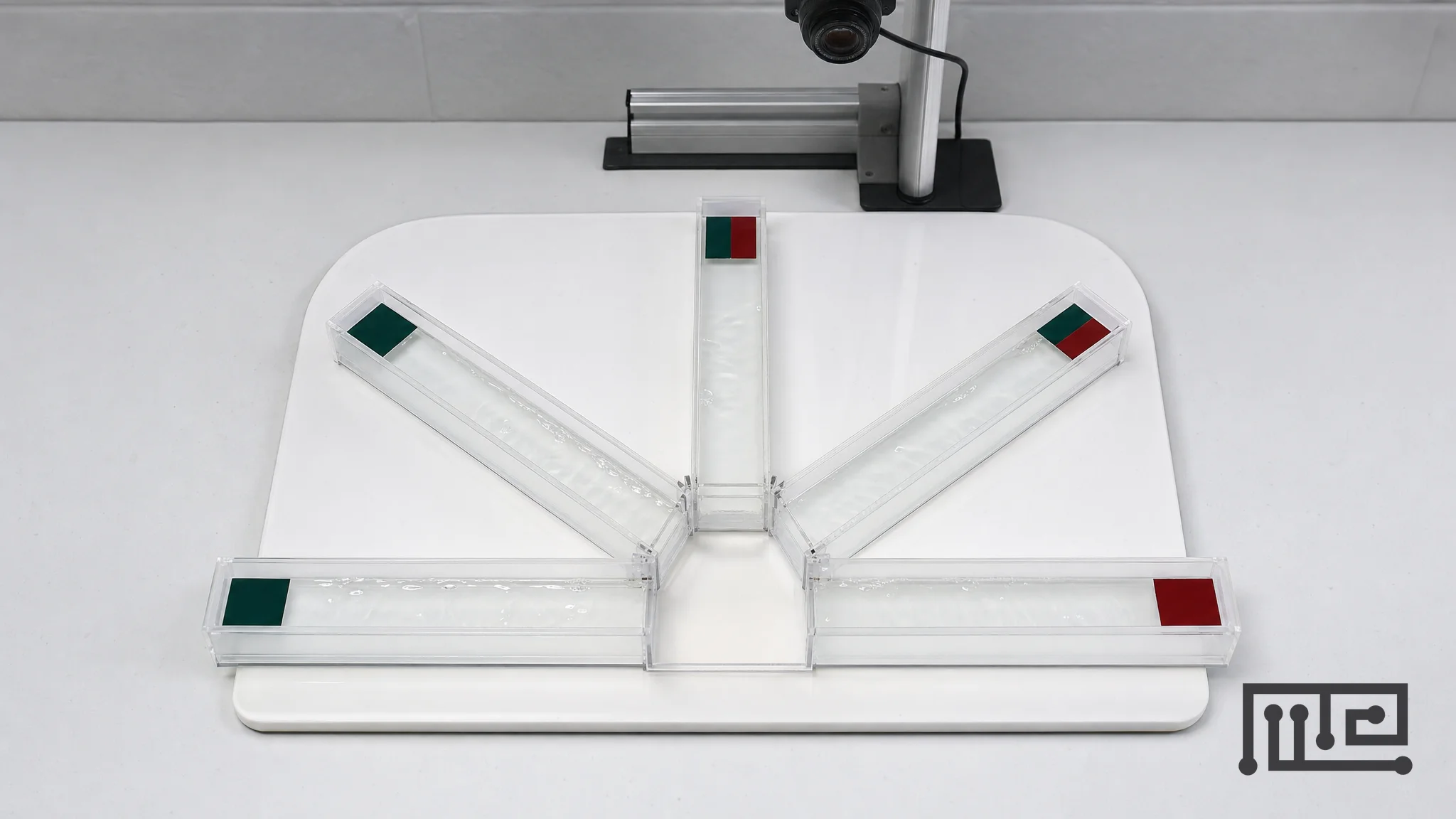 Five-arm zebrafish judgment bias radial maze prepared for overhead recording