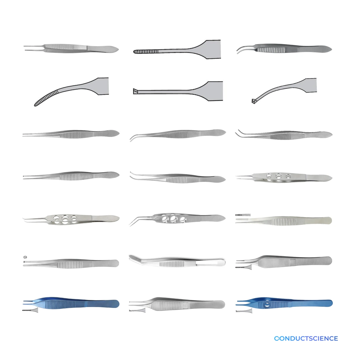Fine Surgical Tweezers for small-animal dissection and tissue handling on a white background with ConductScience watermark