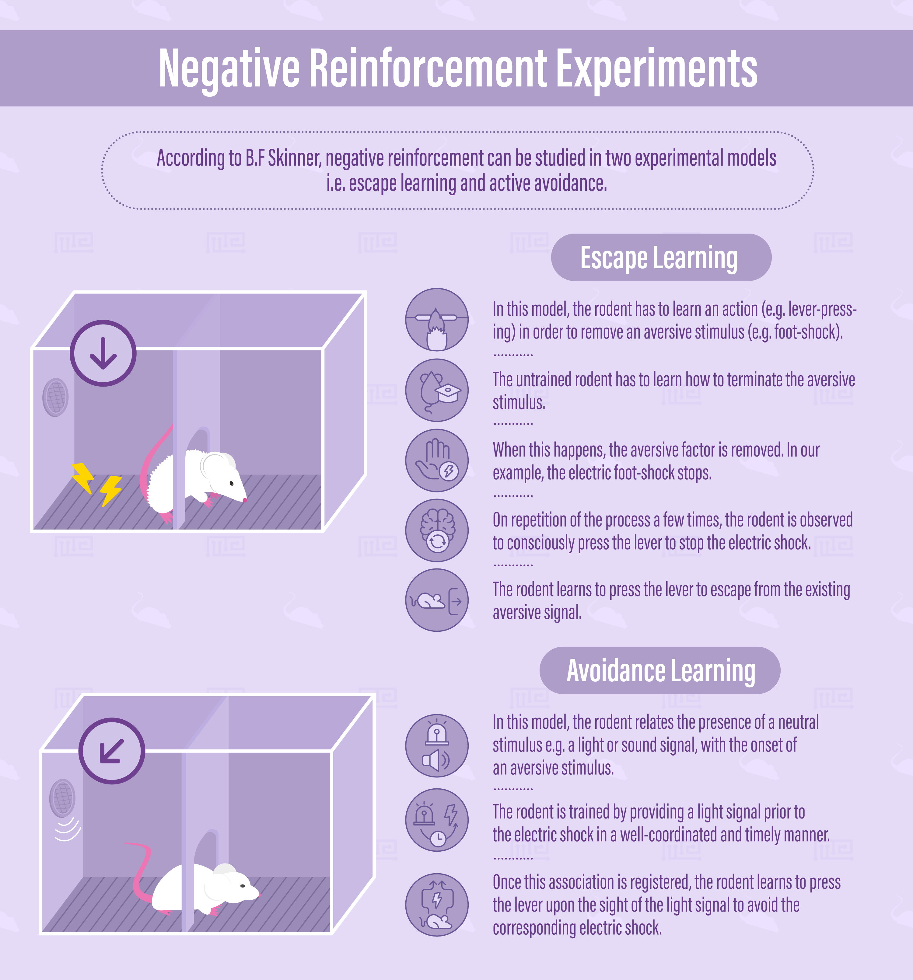 negative reinforcement assignments