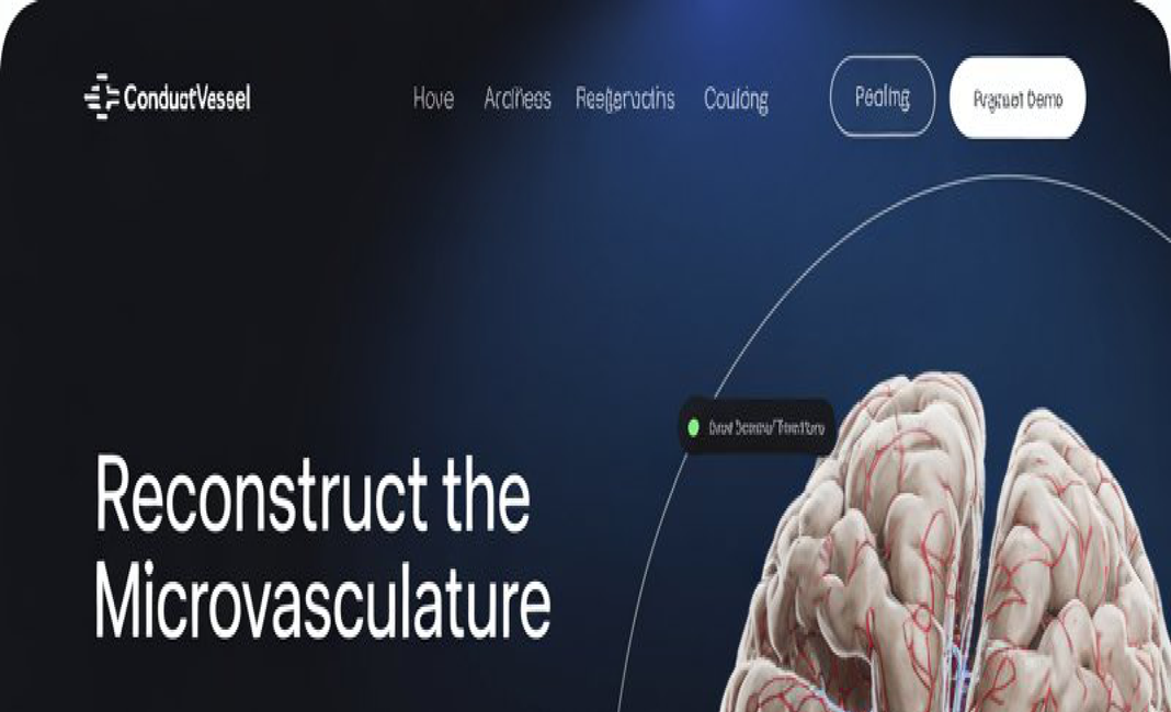 ConductVessel 3D vascular reconstruction