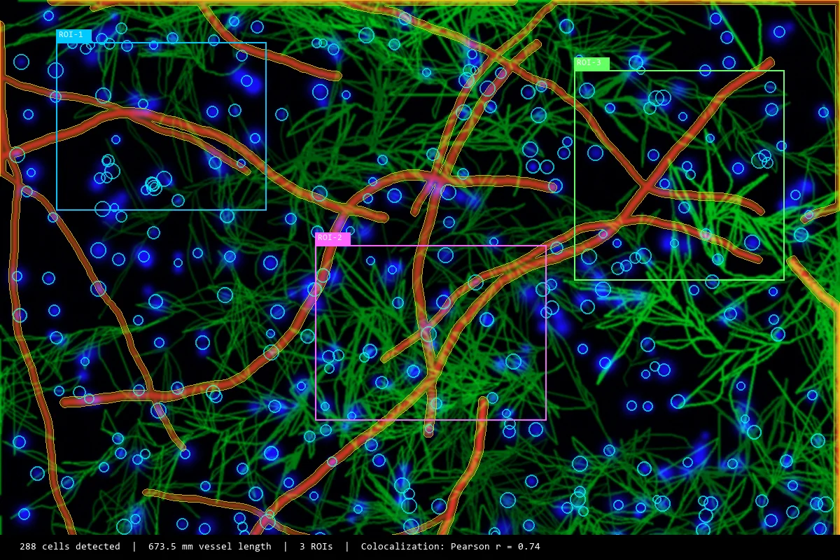 Microscopy