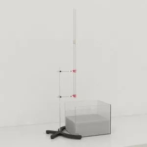 Weight Drop TBI Model for Mice and Rats