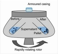 centrifuge rotor and sample positioning