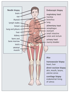 Histology in diagnostic medicine