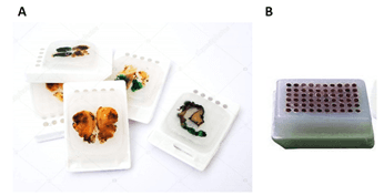 Parraffin-embedded tissue samples