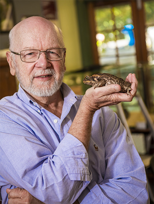 Amphibians: Snakes and Toads' Evolution and Spread - Conduct Science