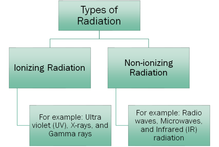 The 𝛾-radiation and its effects on chromosomes - Conduct Science