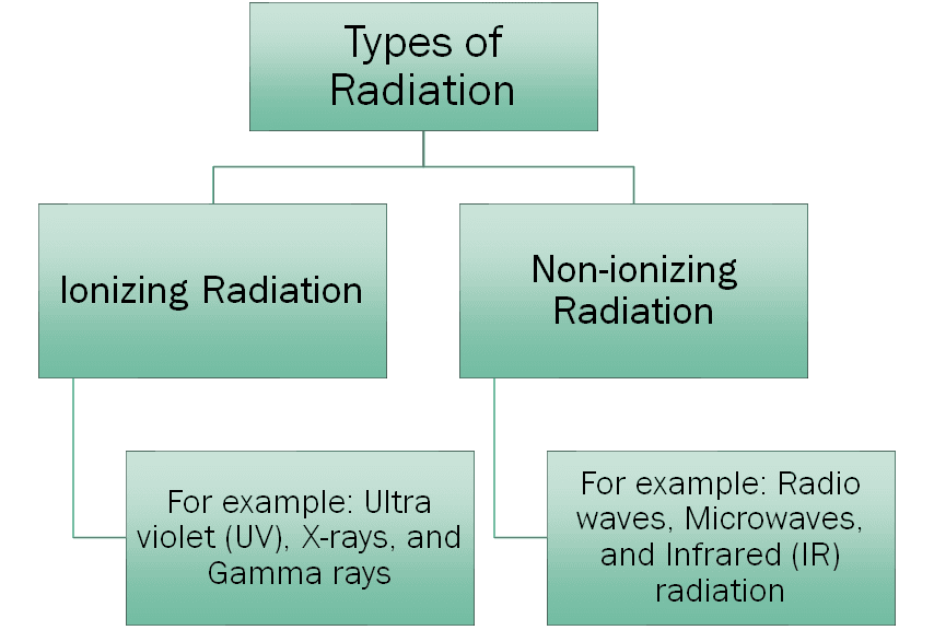 The ?-radiation and its effects on chromosomes - Conduct Science