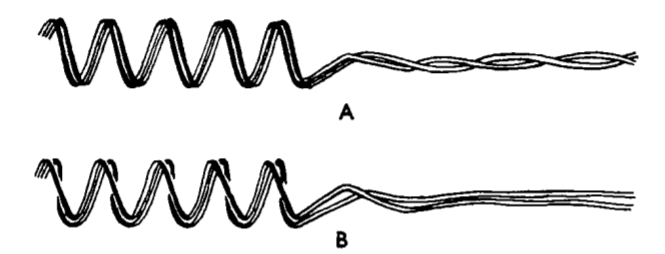 the two forms of coiling of the chromonemata