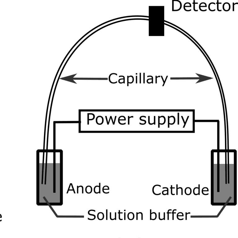 Capillary Electrophoresis Conduct Science