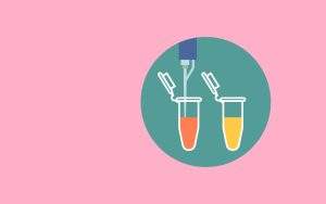 Protein Quantification Protocols