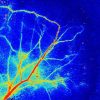 RFLSI Pro Laser Speckle Perfusion Imager - Image 4