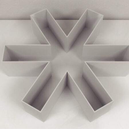 Radial Arm Maze
