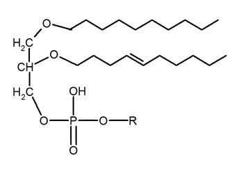 A general structure of ether glycerophospholipids