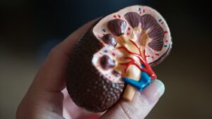 Computer Kidney