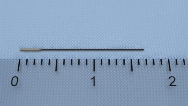 Embolic MCAO closely mimics the human ischemic stroke. However, there is high variability of the MCAO