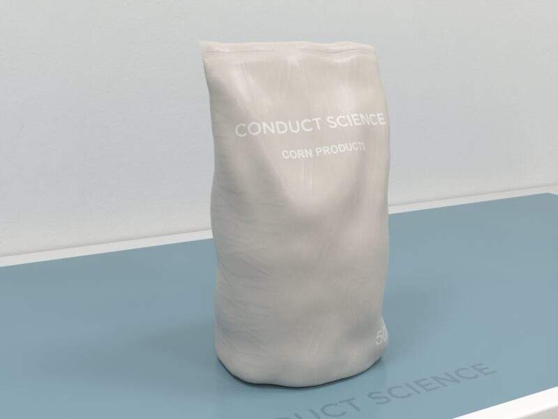 Drosophila Corn Meal