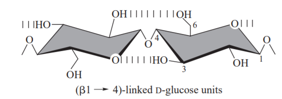 Repeating units of cellulose with hydrogen bond interaction