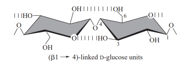 structure of polysaccharide