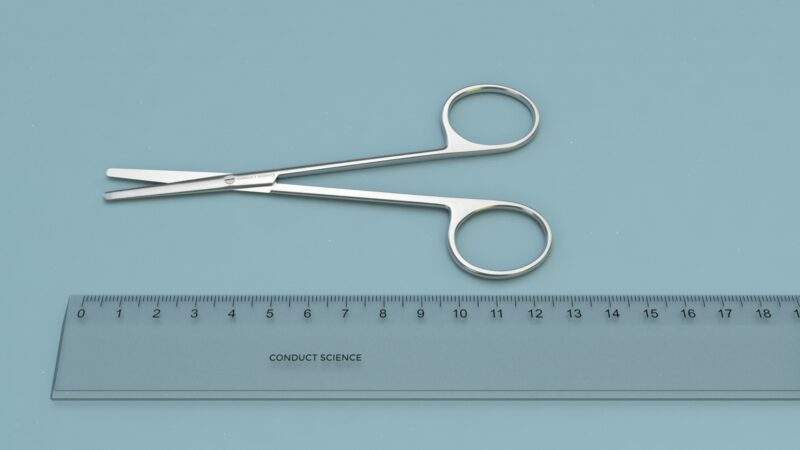 Lexer Baby Dissecting Scissors by Conduct Science