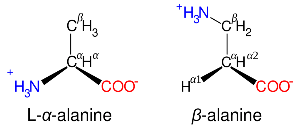 Structure of alanine isomers