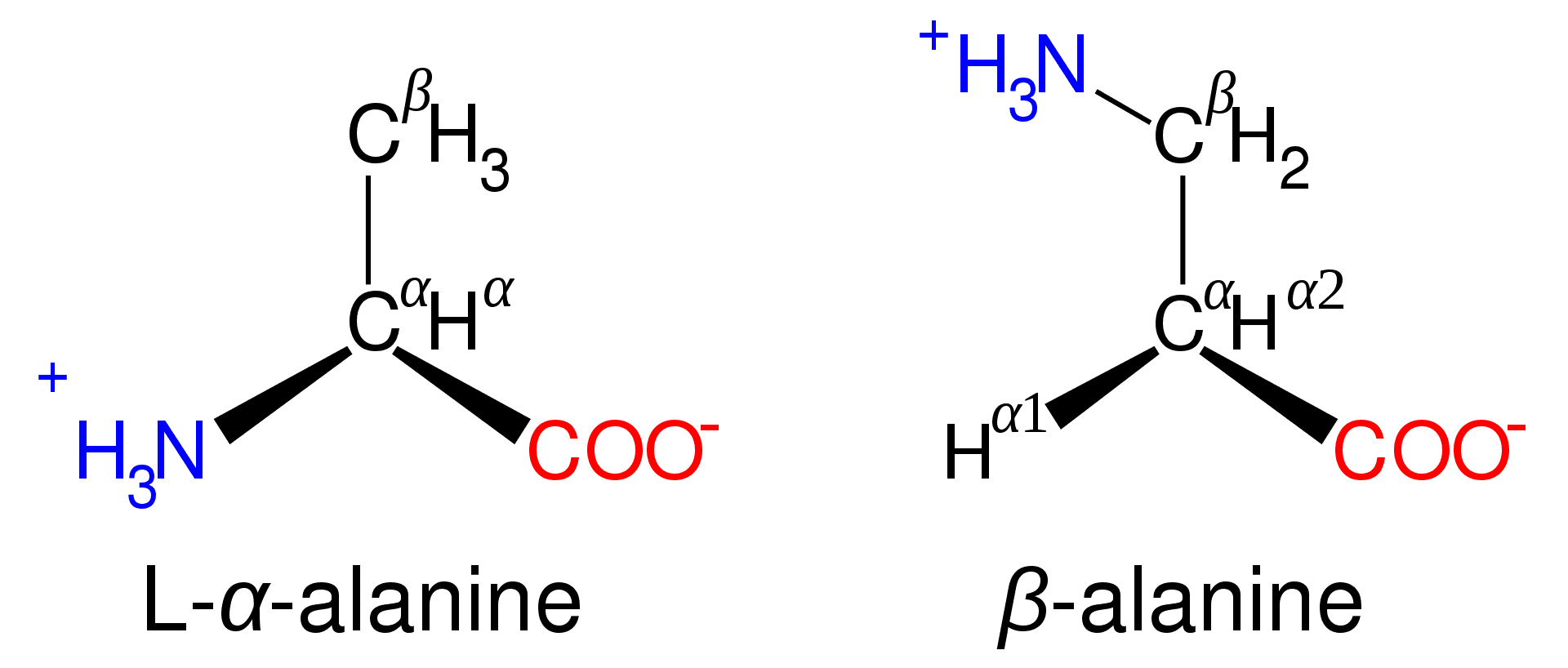 Л аланин бета аланин. Бета аланин формула. B аланин формула. Бета аланин формула структурная. Альфа аланин и бета аланин.